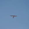 DSC_4468 (800x531)